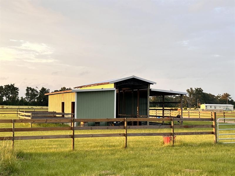 Conveniently Located 10 Acre Horse : Chiefland : Levy County : Florida
