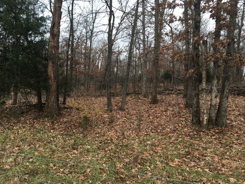Large Building Lot : Lebanon : Laclede County : Missouri