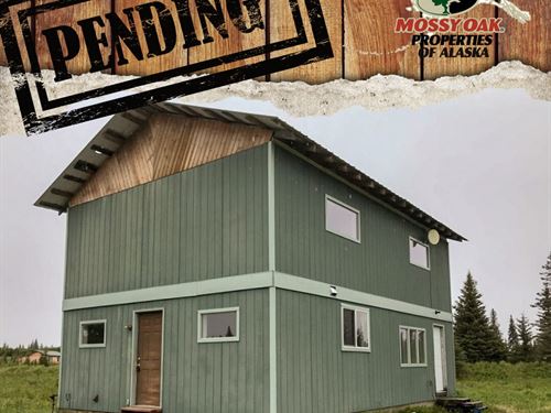 Blank Slate on 4.56 Acres in Ninilc : Ninilchik : Kenai Peninsula Borough : Alaska