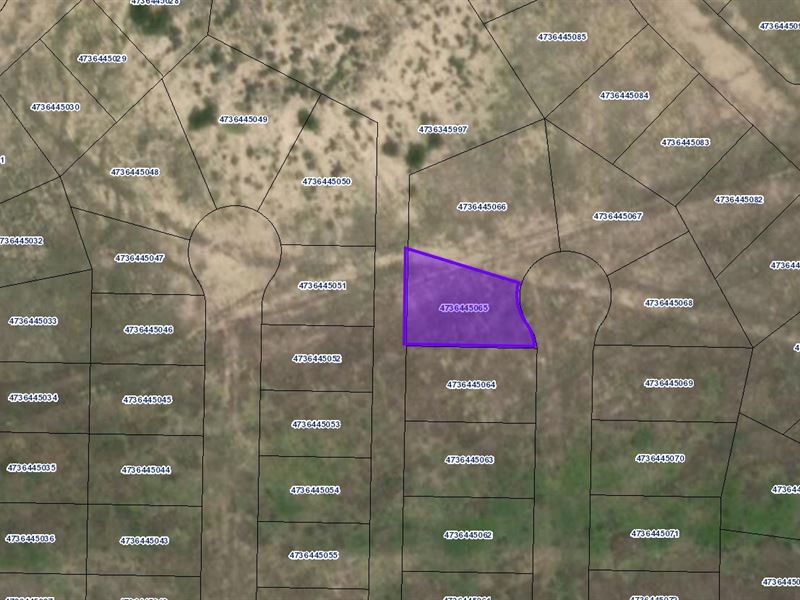 Colorado City Lot, Pueblo County : Colorado City : Pueblo County : Colorado