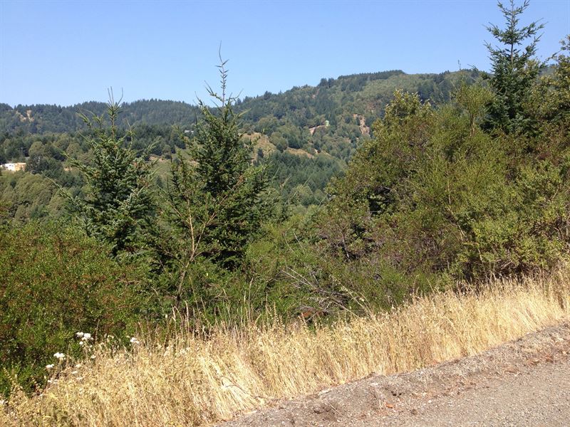 Shelter Cove, Humboldt County, Ca : Shelter Cove : Humboldt County : California