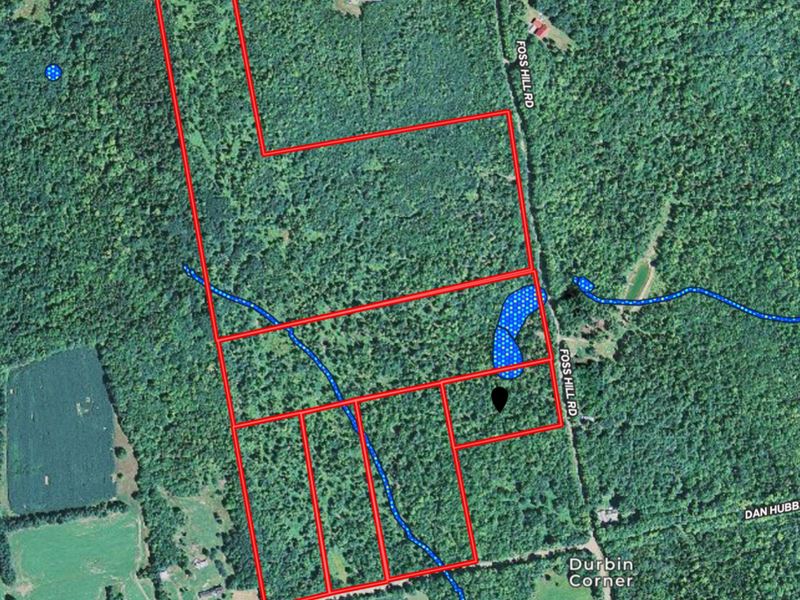 Land Lot for Sale in Garland, Maine : Garland : Penobscot County : Maine
