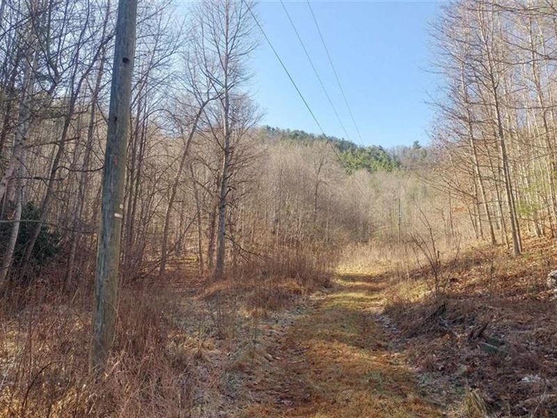 Hunting Property in Shawsville VA : Shawsville : Montgomery County : Virginia