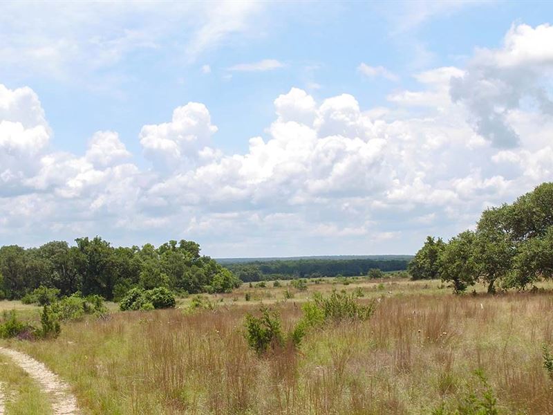 Prime Hill Country Acreage : Burnet : Burnet County : Texas