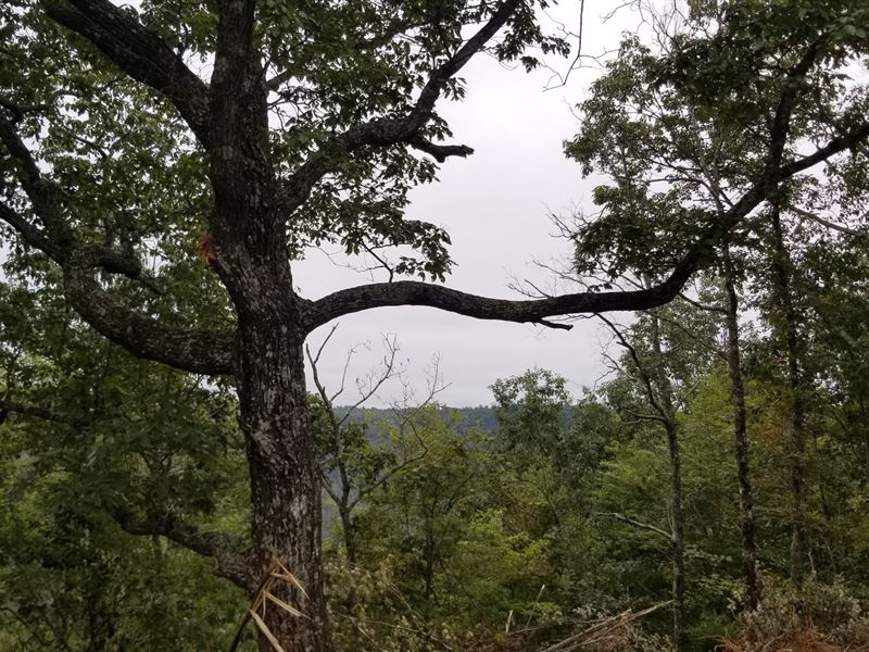 8.84+/- Acs Mtn Views Near Sewanee : South Pittsburg : Marion County : Tennessee
