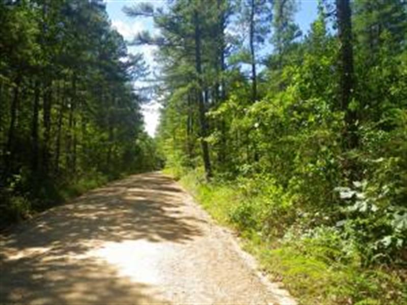 Surveyed Land, Timber, Hunting : West Plains : Howell County : Missouri