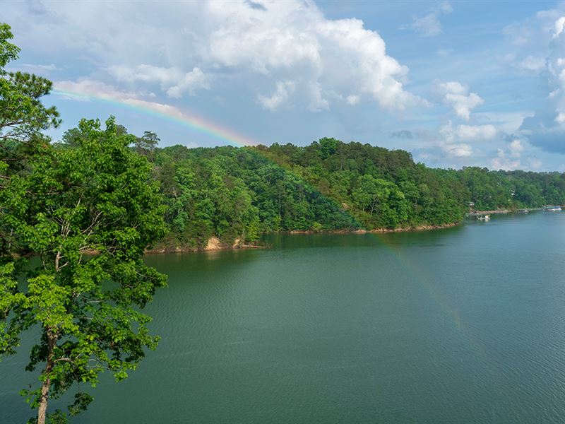 Smith Lake Waterfront Liquidation : Crane Hill : Cullman County : Alabama