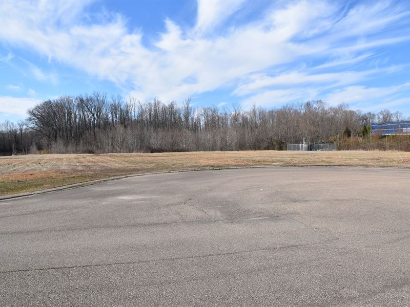 Commercial Property North Madison : Three Way : Madison County : Tennessee