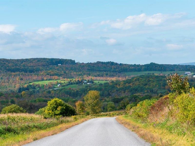 Farm Land Liquidation 3 Hours Nyc : Sharon Springs : Schoharie County : New York