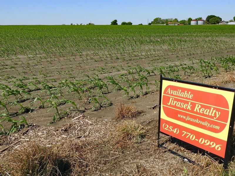 20 Acres, Fm 1444, Ben Arnold : Burlington : Milam County : Texas