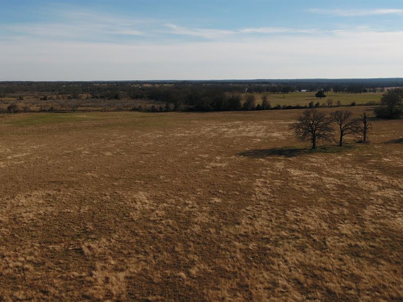Nice 19 Acres Ready for Your Home : Rockdale : Milam County : Texas