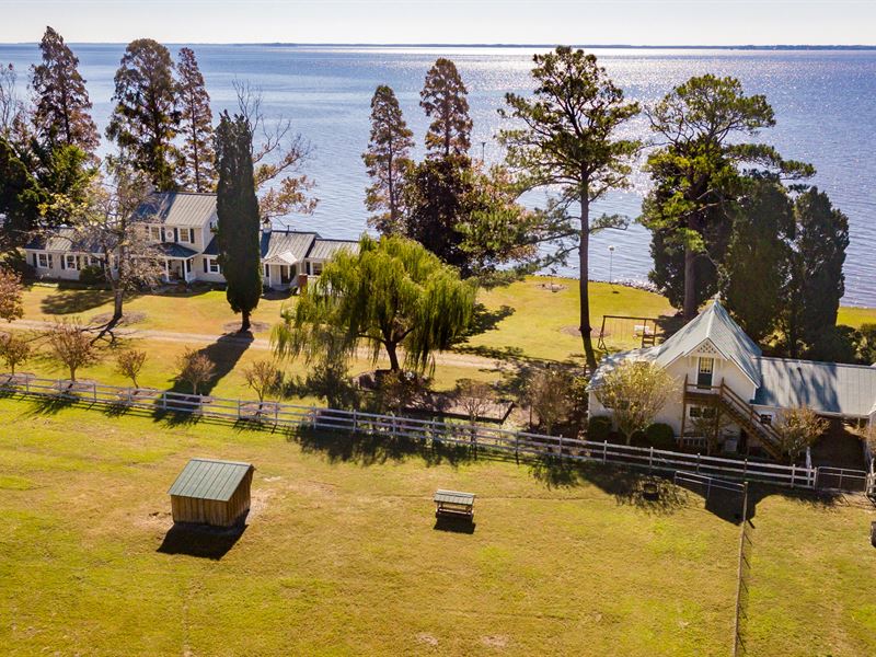 Waterfront Hobby Farm : Bath : Beaufort County : North Carolina