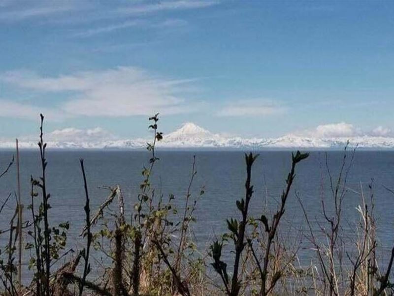 K-Beachfront, 1 Acre with Outstandi : Kenai : Kenai Peninsula Borough : Alaska