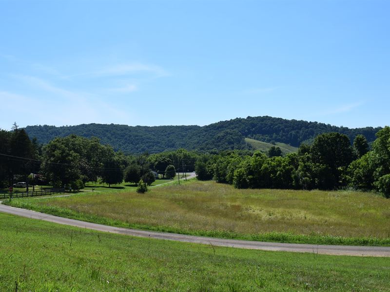 Unrestricted East Tennessee Land : Rogersville : Hawkins County : Tennessee