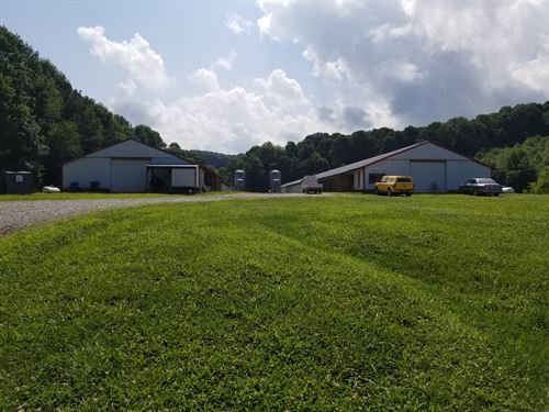 poultry farm for sale georgia poultry farm for sale georgia