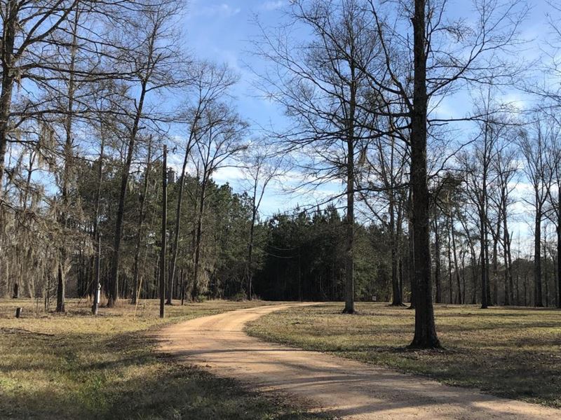 Pearl River Retreat Lot 5 : Monticello : Lawrence County : Mississippi