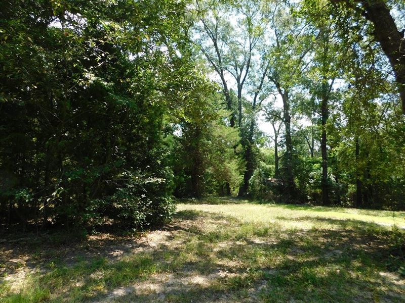 15.5 Wooded Acres, Private : Chandler : Henderson County : Texas