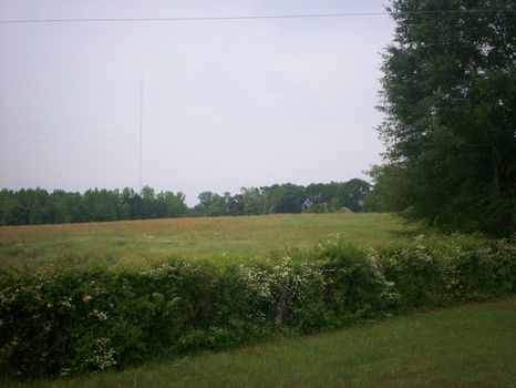 Beautiful 3.7 Acre Lot w/ Pond Site : Troy : Montgomery County : Alabama