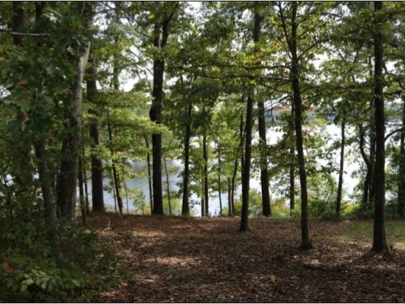173 Lots To Choose From At Dalewood : Meridian : Lauderdale County : Mississippi