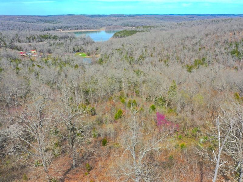 Lake Lot in Mountain Home Arkansas : Mountain Home : Baxter County : Arkansas
