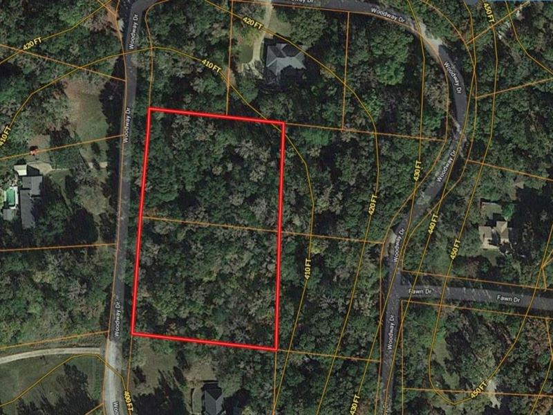 Double Lot Deerwood Park Addition : Palestine : Anderson County : Texas