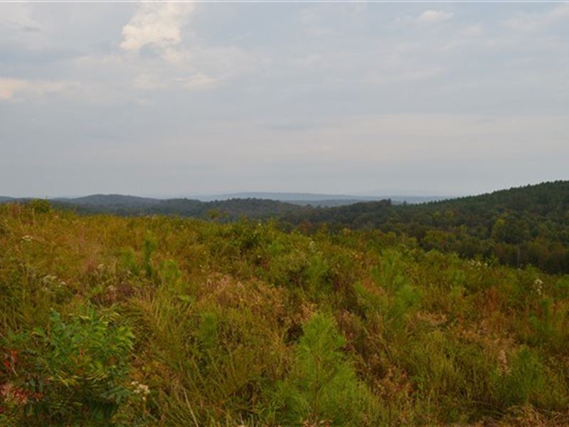 9.6 Acre Home/Cabin Site Lake : Howe : Le Flore County : Oklahoma