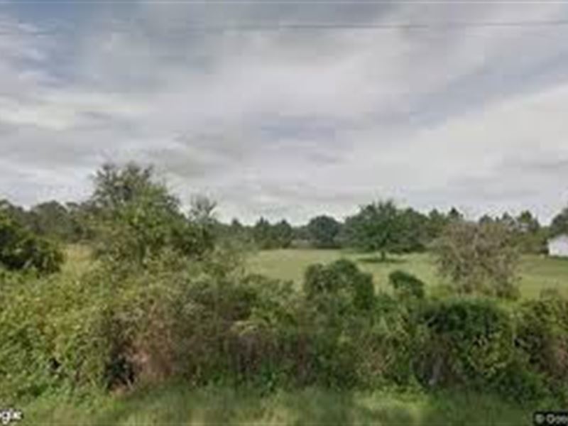 Tuscanooga Rd Vacant Property 110K : Tuscanooga : Lake County : Florida
