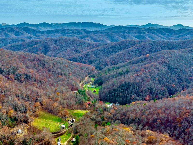 Wooded Acres By Road & Electricity : Lansing : Ashe County : North Carolina