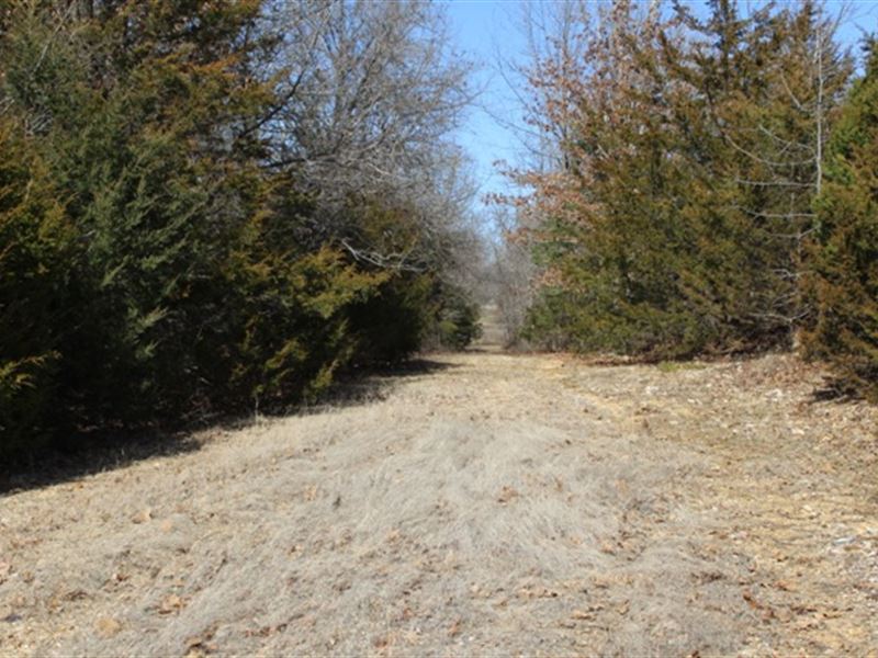 10 Wooded Acres, Highway Frontage : Mansfield : Wright County : Missouri