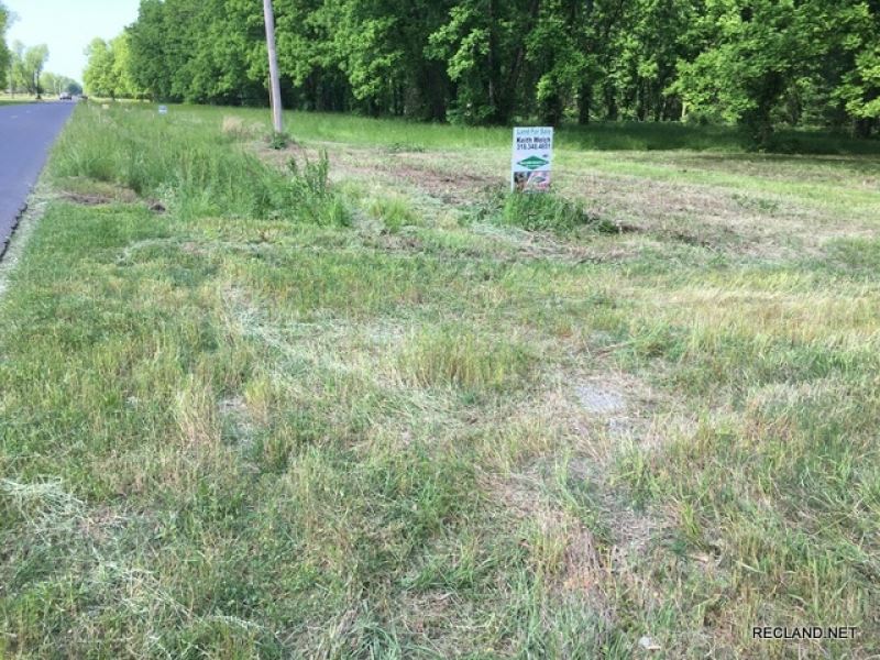11.5 Ac, Pecan Orchard Home Site : Swartz : Ouachita Parish : Louisiana