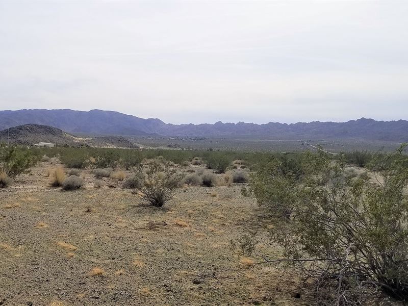Awesome, Access, Views, $285 P/Mo : Twentynine Palms : San Bernardino County : California
