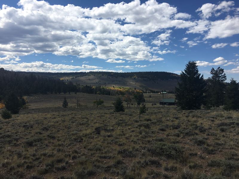 Trailridge Trail : Gunnison : Gunnison County : Colorado