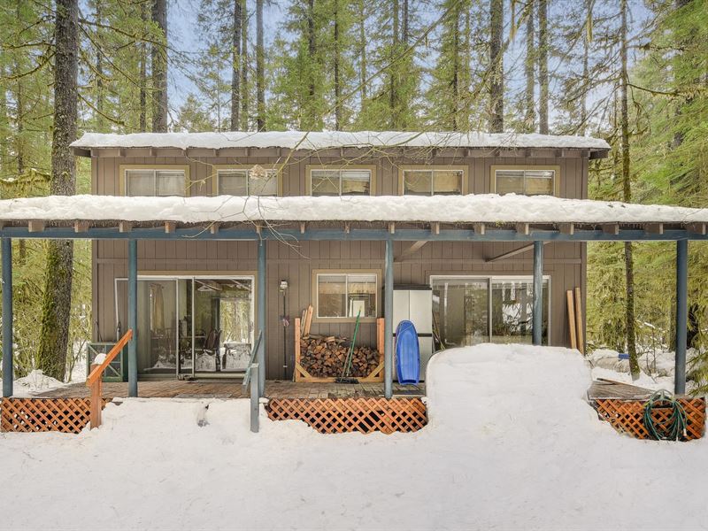 Mountain Cabin Northwoods Cougar Lot for Sale in Cougar, Cowlitz