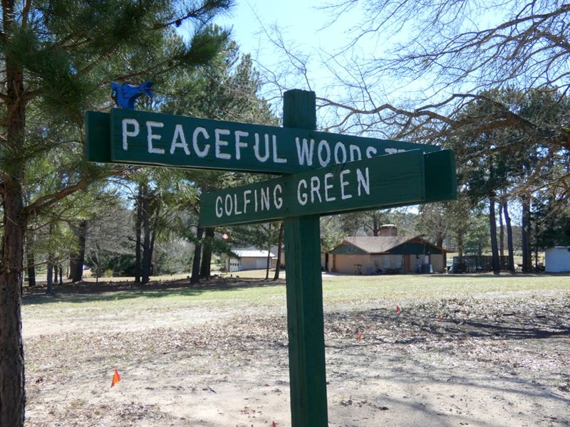 Holly Lake Ranch Lot, East Texas : Holly Lake Ranch : Wood County : Texas