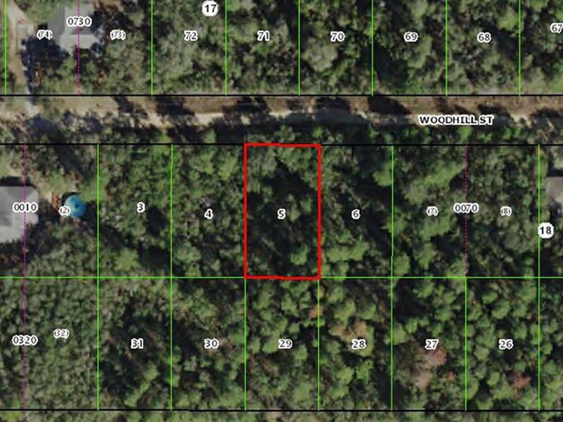 Nice Inverness Lot in Existing Hood : Inverness : Citrus County : Florida