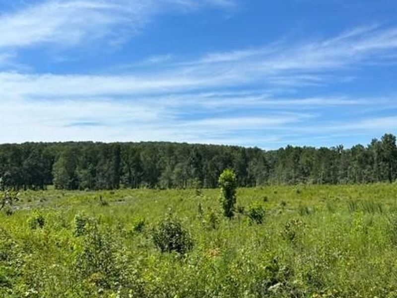5.59 Acres Partially Wooded Prope : Tracy City : Marion County : Tennessee