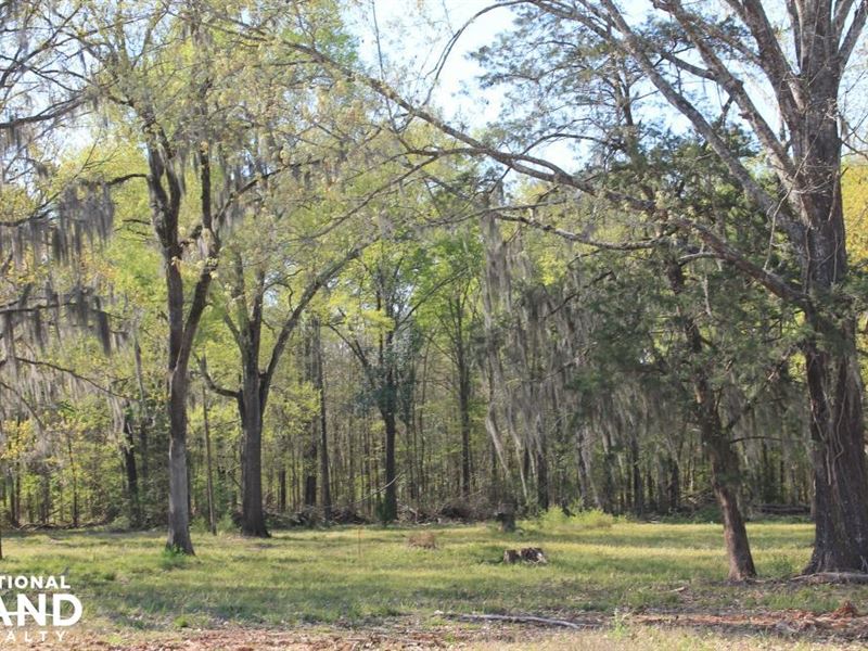 Black Lake, Belle Oak Subdivision Lot for Sale in Campti