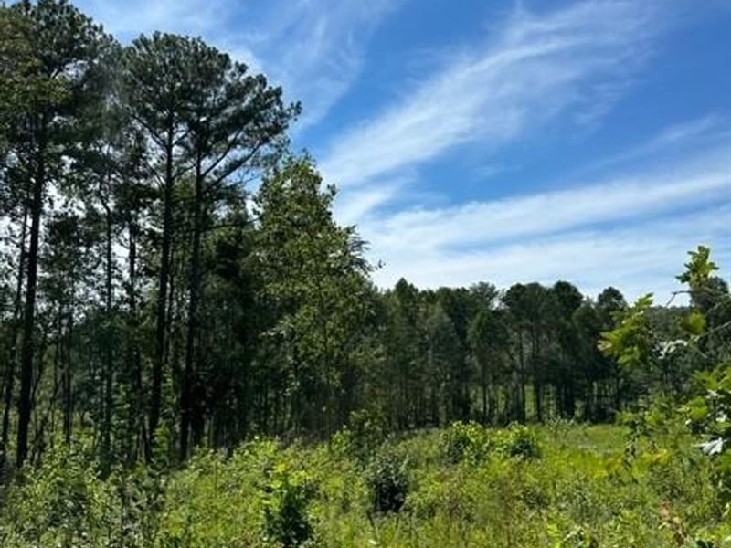5.27 Partially Wooded Acres : Tracy City : Marion County : Tennessee
