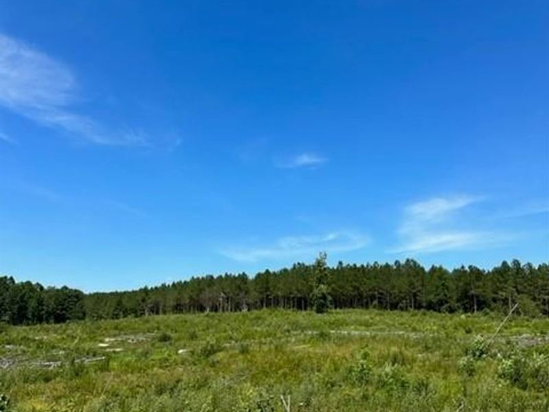 5.18 Acres Partially Wooded Prope : Tracy City : Marion County : Tennessee