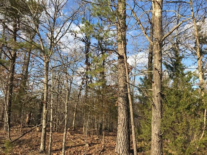 7 Acre Residential Lot for Sale : Poplar Bluff : Butler County : Missouri