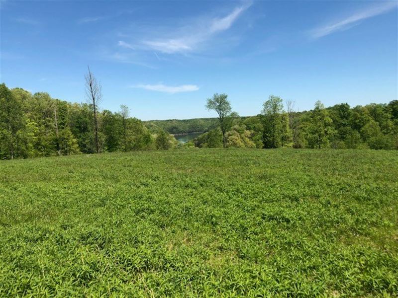 Land Close to Rowena Marina : Albany : Clinton County : Kentucky
