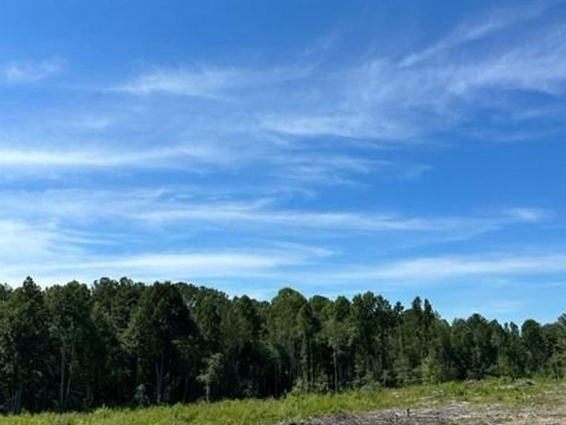 5 Acres Partially Wooded Prope : Tracy City : Marion County : Tennessee