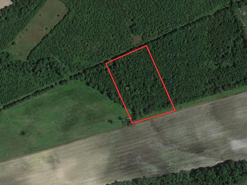 4.26 Acres of Recreational Land : Rose Hill : Duplin County : North Carolina