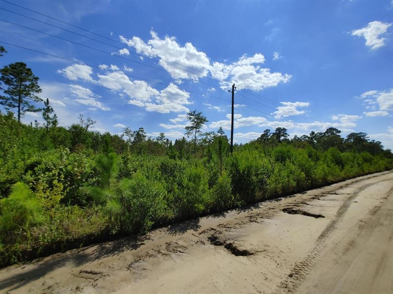 4.45-Acre Lot in Camden County, GA : Waverly : Camden County : Georgia