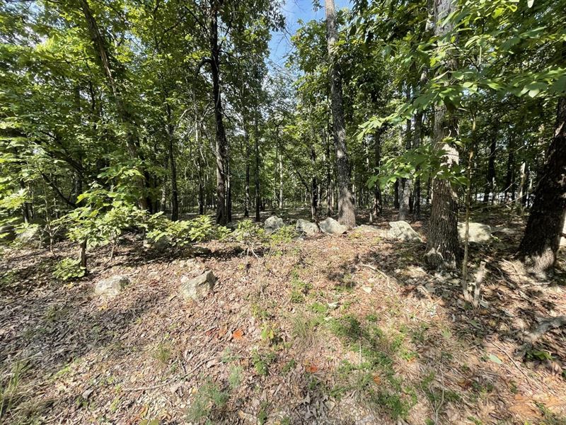 Lot in Horseshoe Bend, Arkansas : Horseshoe Bend : Izard County : Arkansas