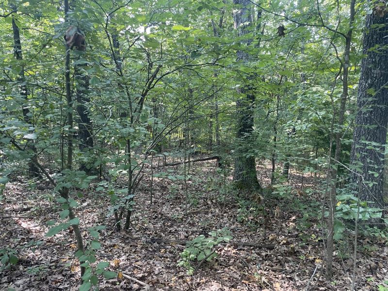 Lot in Horseshoe Bend, Arkansas : Horseshoe Bend : Izard County : Arkansas