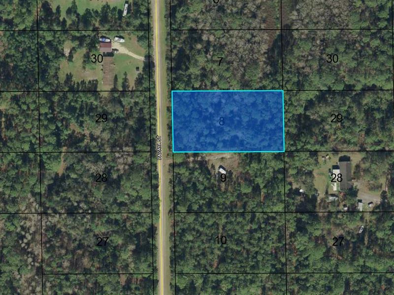 1.14 High Dry Buildable Bunnell : Bunnell : Flagler County : Florida