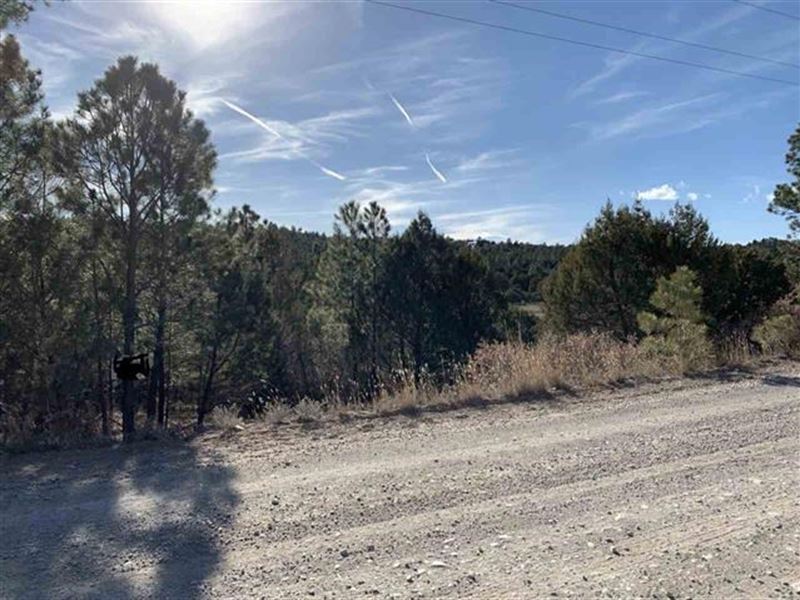 Land for Sale : Timberon : Otero County : New Mexico