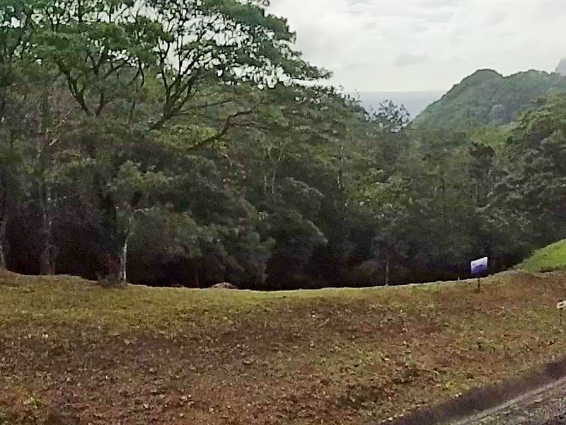 Asturias Altos Del Maria Mountain : Panama
