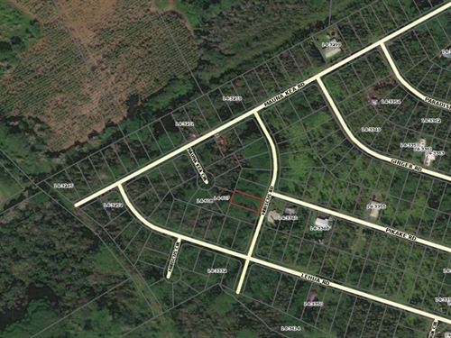 Ocean Paradise Parcel in Nanawale : Pahoa : Hawaii County : Hawaii